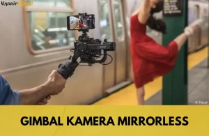 Gimbal Kamera Mirrorless Murah